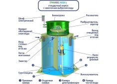 Гринлос Аква 5